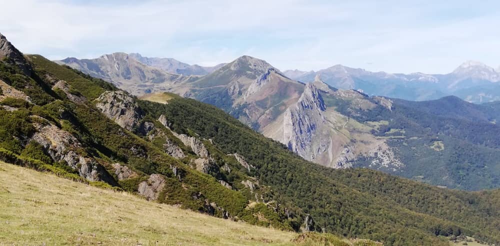ruta bosques Palencia y Cantabria