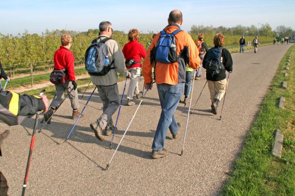 Bastones Y Activación Muscular 