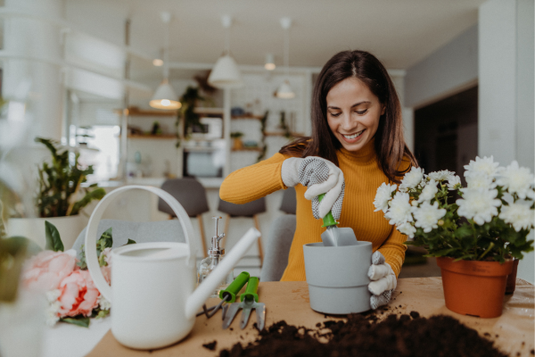 Hobby Jardineria 