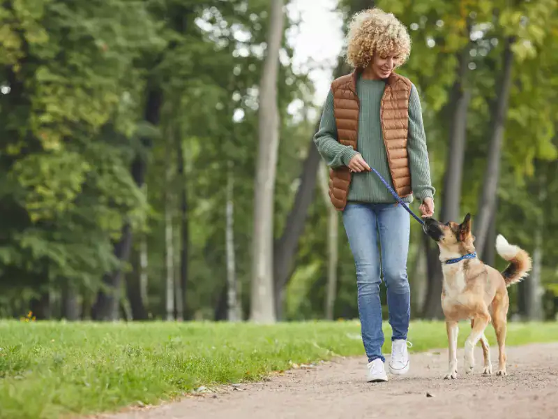Mujer pasea con perro