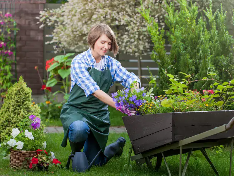 Jardinería y movimiento