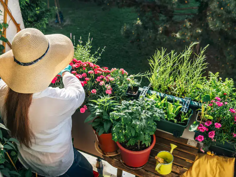 Jardinería y relajación