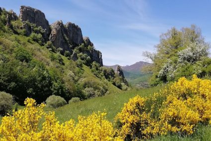 Primavera en la Montaña Palentina
